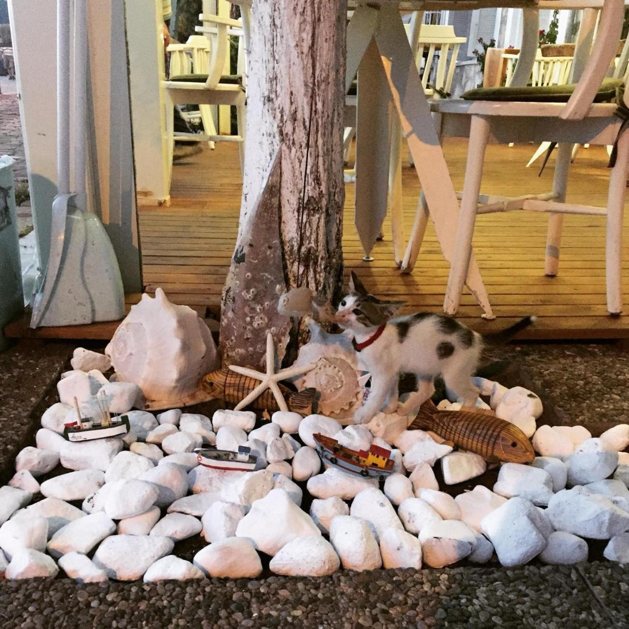 Ayshe Hotel Foça Eksteriør billede